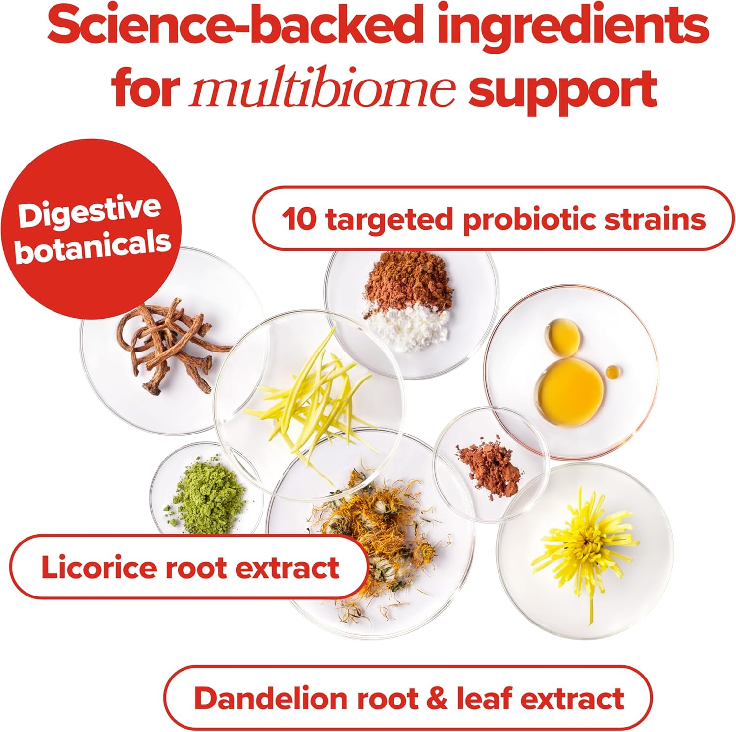 O Positiv URO Women’s Probiotic – All-in-one Probiotic for Women - Vaginal, Gut, Skin, and Oral Microbiome Health - Image 3